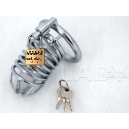 KG-Schloss graviert! Keuschheits-Kontrolle!