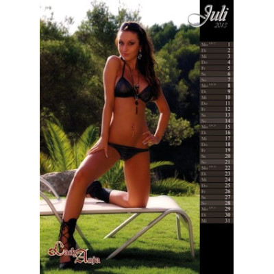 Wand-Kalender 2013! als PDF-Download
