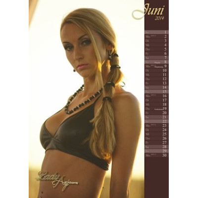 Wand-Kalender 2014! als PDF-Download