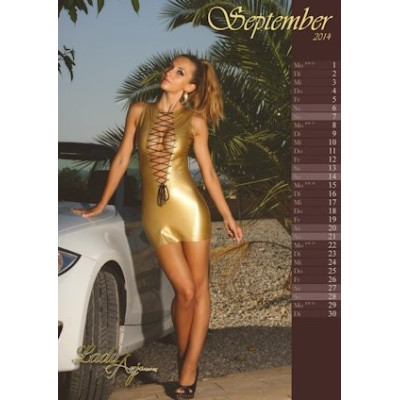 Wand-Kalender 2014! als PDF-Download