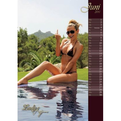 Wand-Kalender 2015! als PDF-Download
