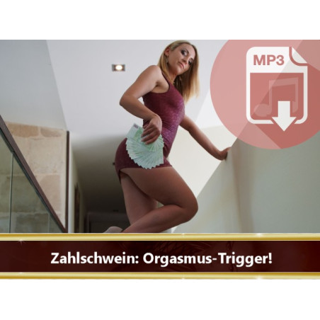 Audio Hypnose: Zahlschwein Orgasmus Trigger