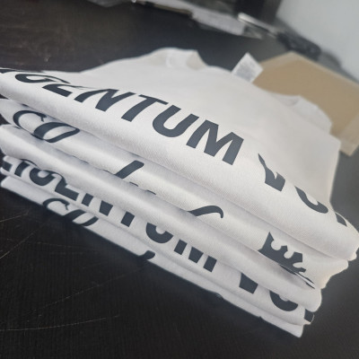 T-Shirt weiß "Eigentum von Lady Anja"